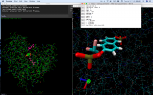 screenshot of chemical reaction simluation in computer environment
