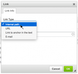 Link button dialogue box with Link Type Dropdown expsed, showing Internal path, URL, Link to anchor in the text, and E-mail options.