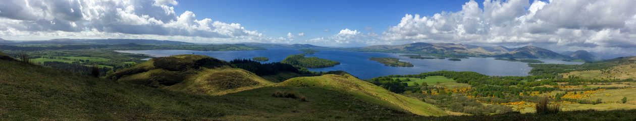 Cultural Interviews with International Business Executives