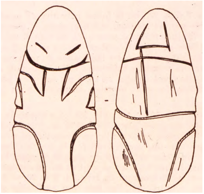 Drawing of two figurines from Sha'ar Hagolan showing a similar linear pattern.