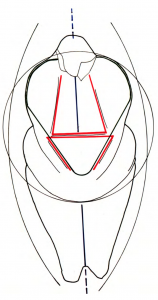 Drawing emphasizing the vertical axis with the womb bursting out in the center, at the focal point of the figurine.