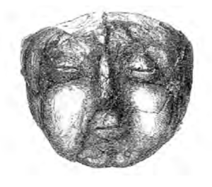 Drawing of the face of Homo I