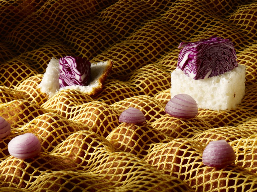 small pieces of cabbage, bread, and onion arranged on top of netting laid over substrate with small bumps