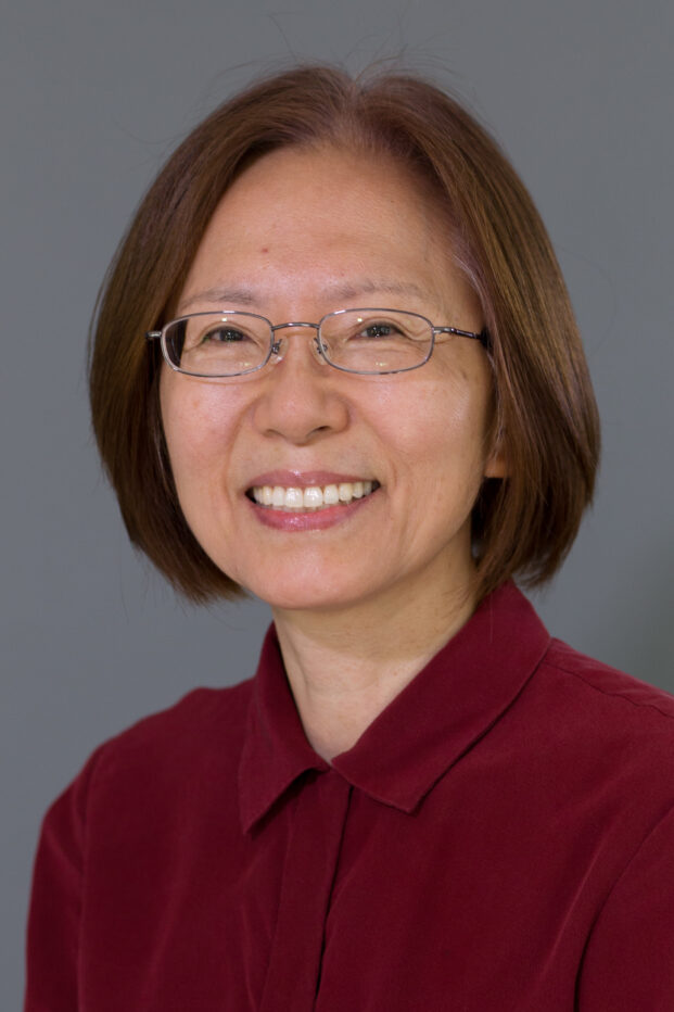 Professor Namkee Choi