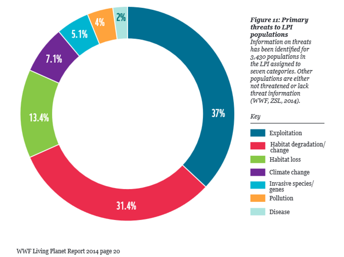 Overfishing – Who cares? – Global Wildlife Conservation Group