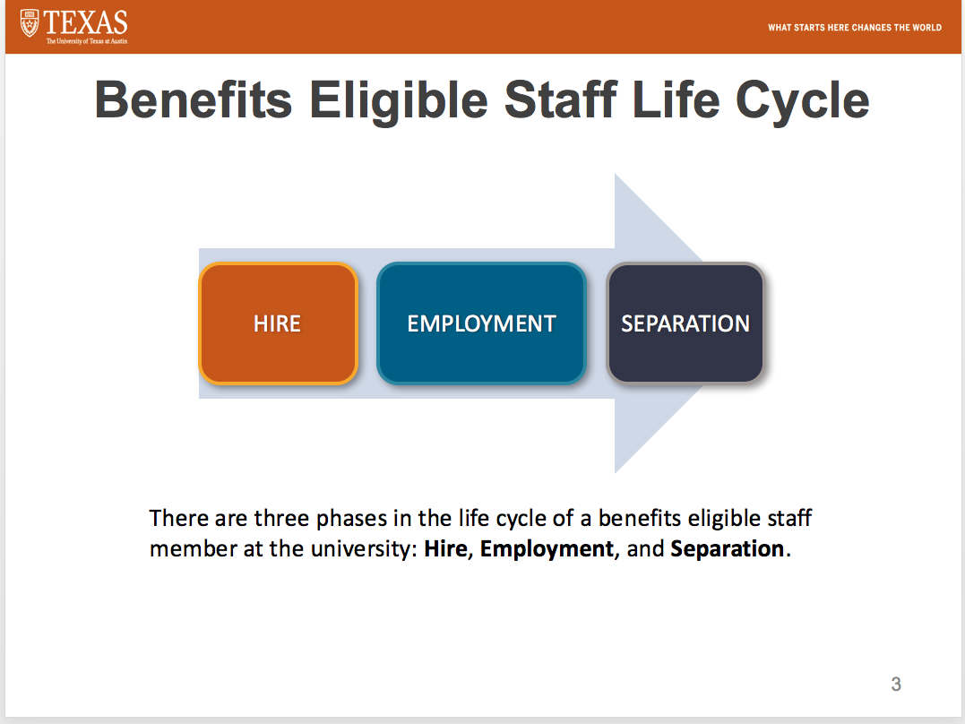 the benefits eligible staff life cycle