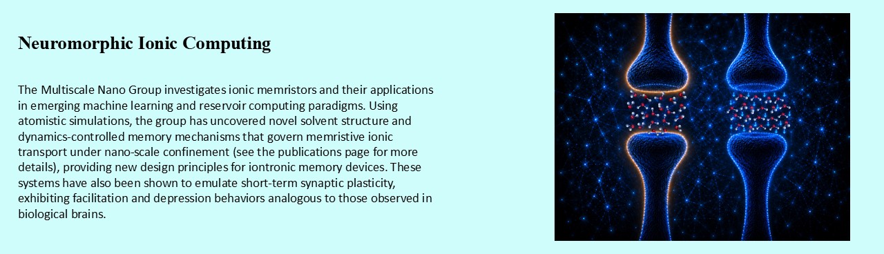 Neuromorphic Ionic Computing