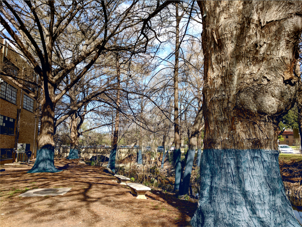 Flood plain tree banding
