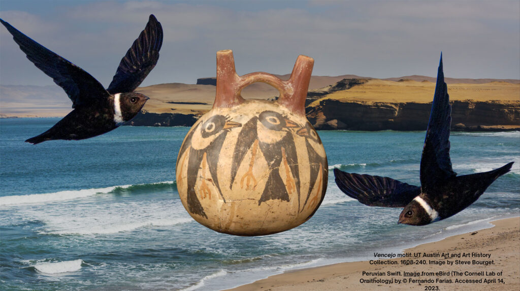 composite image of swifts surrounding gourd vessel