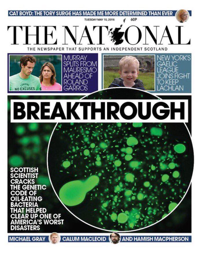 13177959_10154110138150797_26354218422638703_n