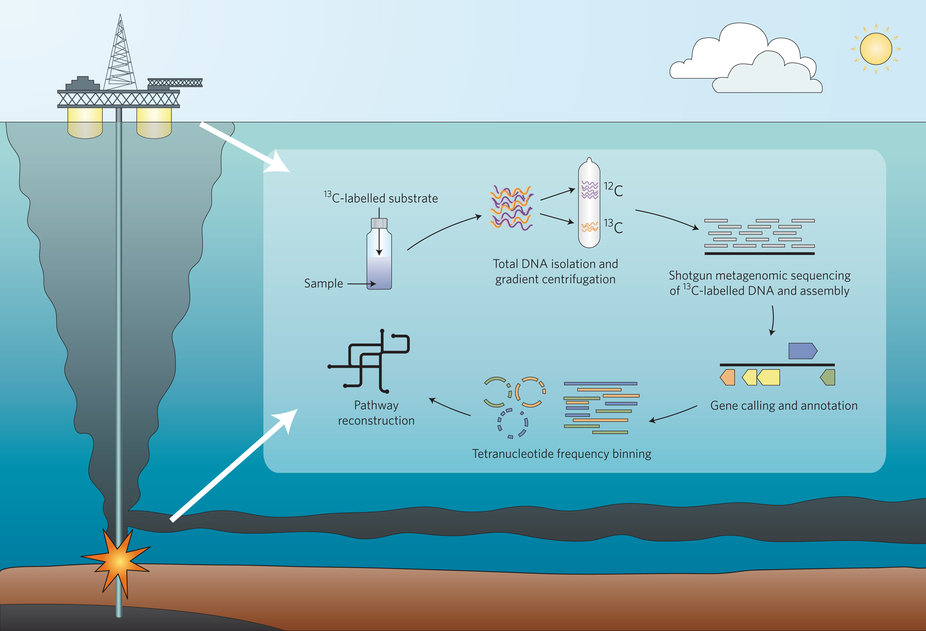 nmicrobiol2016102-f1