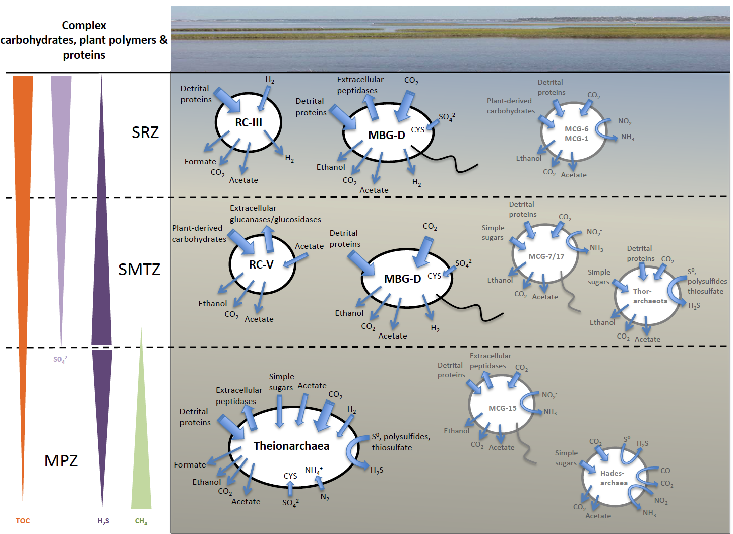 screen-shot-2017-01-06-at-9-40-17-am