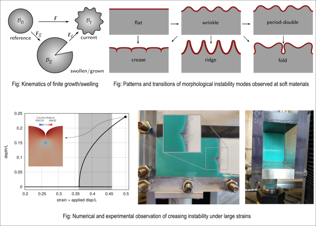 Understanding the dynamic morphing and functional changes in soft materials 