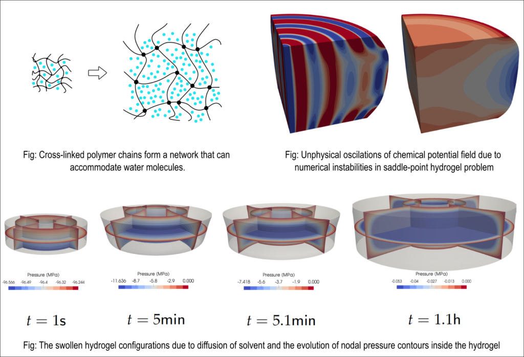 Leveraging multi-physics response in hydrogels to discover new deformation modes for soft and functional devices 