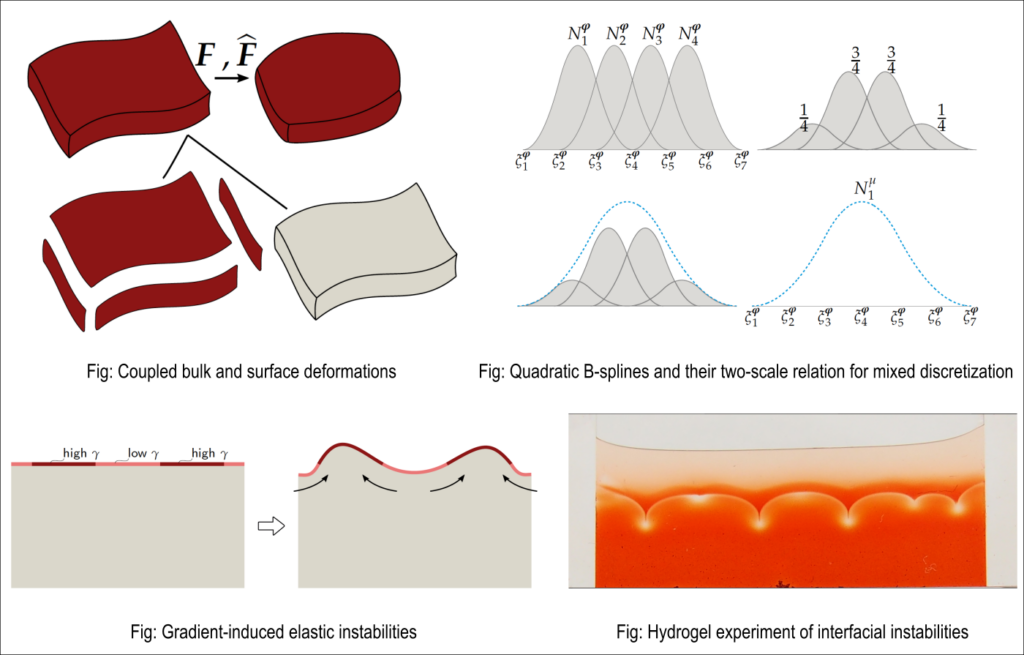 Developing and validating new high-fidelity computational methods to understand boundary energetics in soft and stimuli-responsive materials 