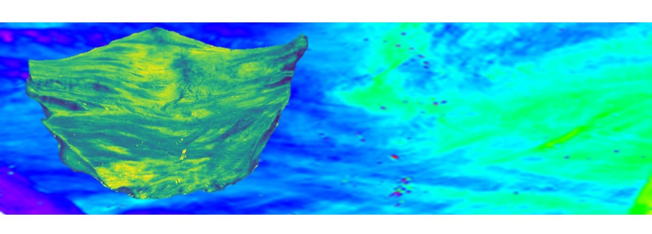 Imaging fiber alignment