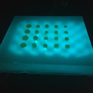 Gel tissue phantoms made in a research lab