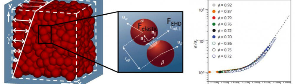 The Bonnecaze Research Group