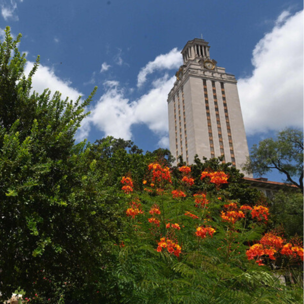UT Tower with orange flowers in foreground