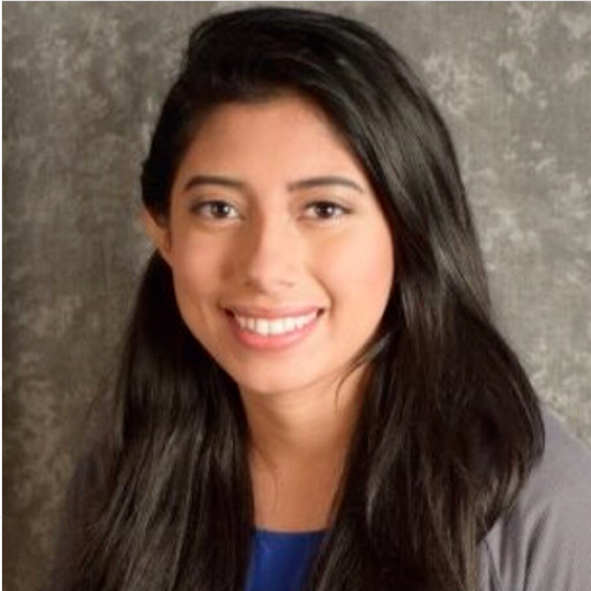 Undergraduate Student