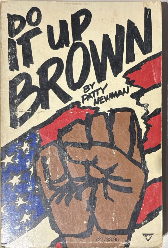 Book cover of Do It Up Brown. The cover features an illustration of a raised brown hand over a fragmented American flag. The title and the author's name are in black hand-drawn lettering.
