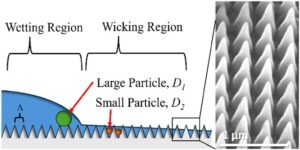 Graphical abstract: Nanoparticle dispersion and separation in superhydrophilic nanostructures, Andrew Tunell et al., RSC Applied Interfaces, 2025