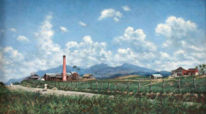 Puerto Rican landscape