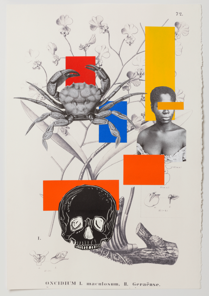 Digital print, collage, monotype and linoleum on paper