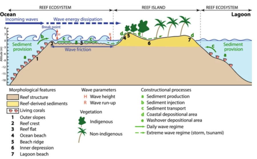 Shrinking Shores? – Ocean Dynamics and Customizing Adaptation Plans