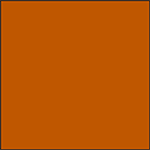 Burnt orange color swatch