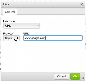 Link dialugue with URL set as Link Type, Protocol dropdown set to http://, and URL field containing www.google.com.