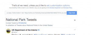 Twitter configurations set up with set customizations link