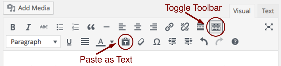 paste as text in wordpress