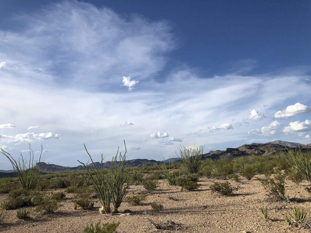 west_tx_one copy_1300