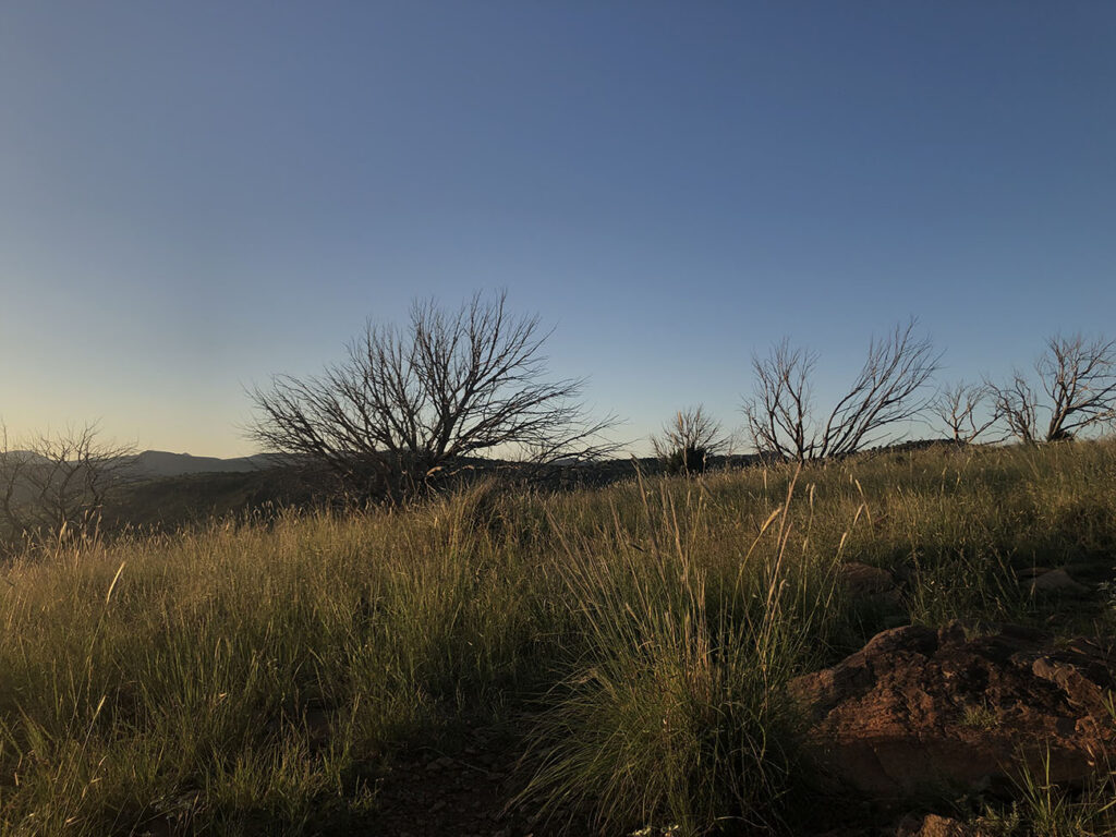 west_tx_three copy_1300