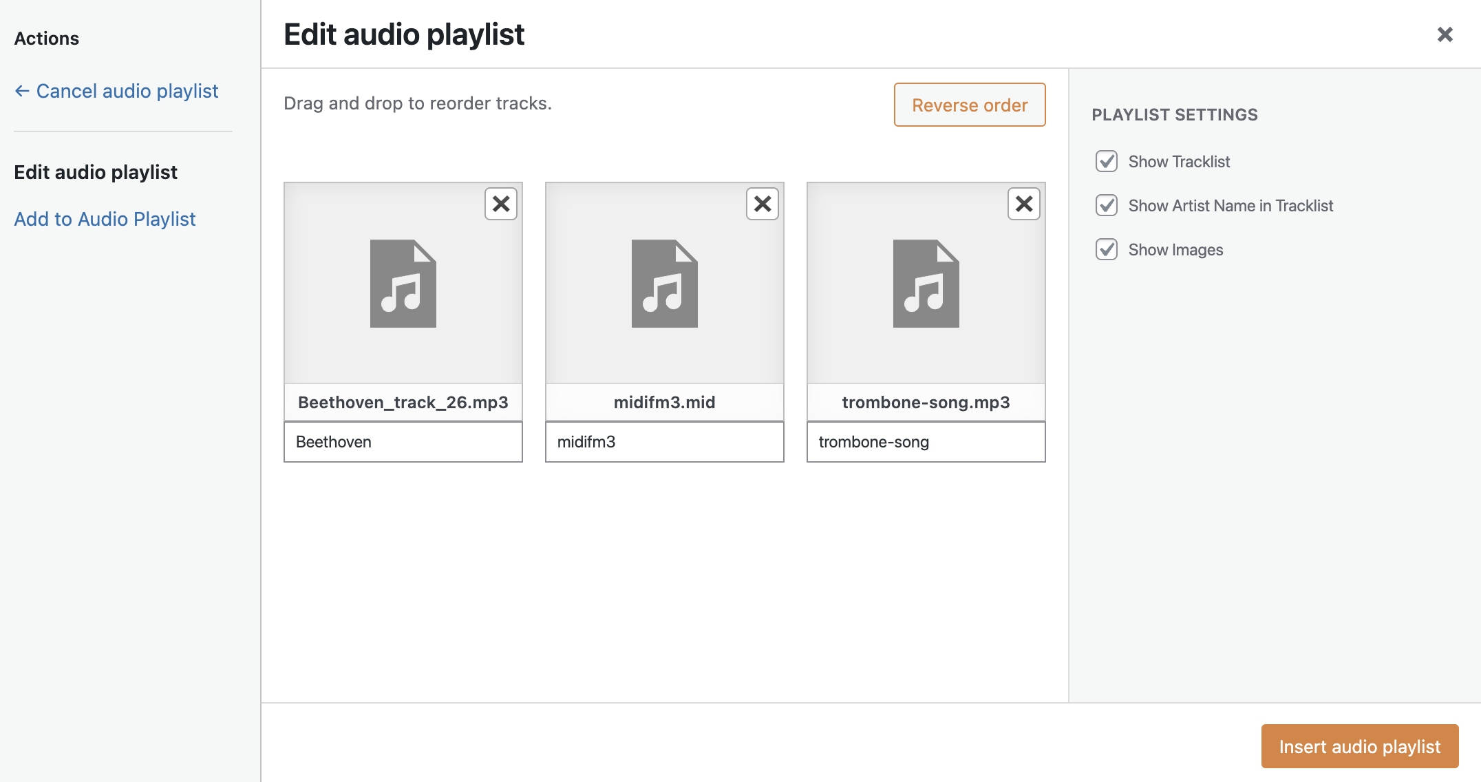 Edit Audio Playlist screen