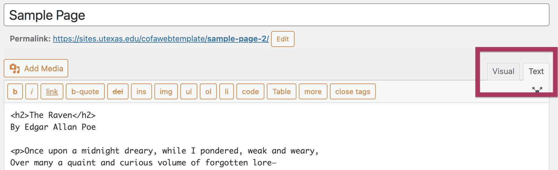 WordPress Text Editor