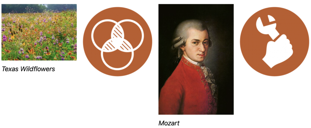 An example of an image Gallery with four different images, some with captions