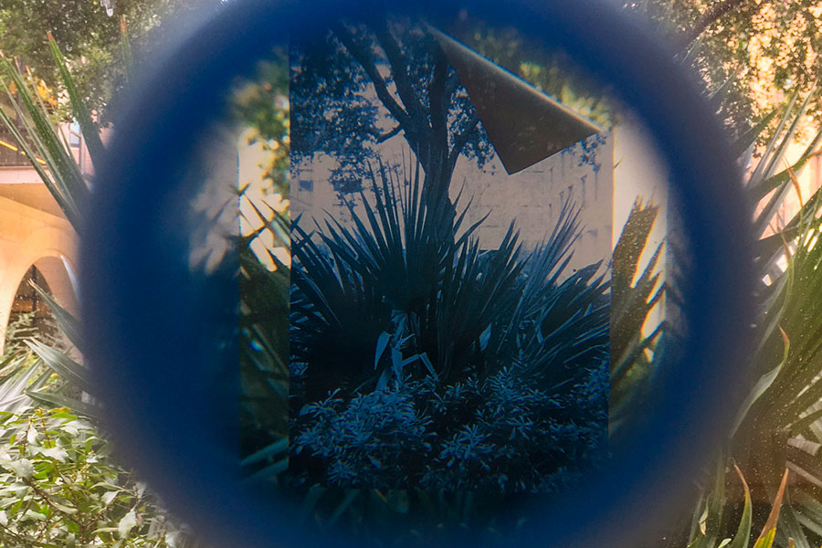 blue transparency viewer showing film on window with plants in background