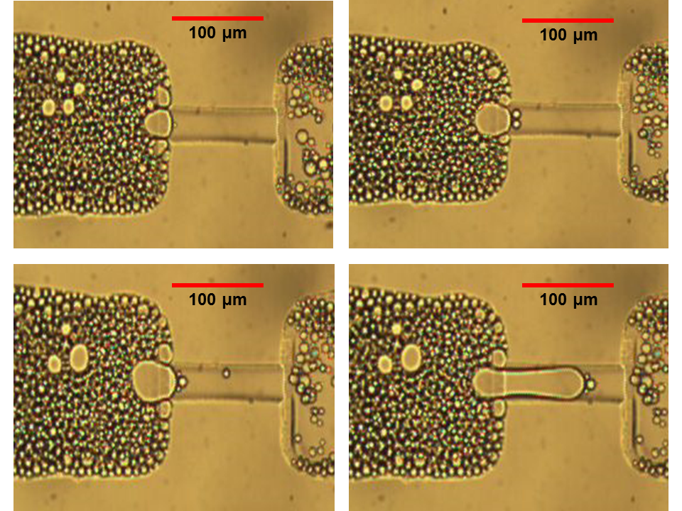 Nanoparticlestabilized foams and emulsions