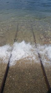 13524501_1719911994928599_5475948017416808060_n