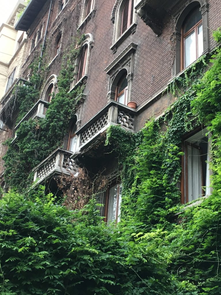 Ivy covered building along our path.