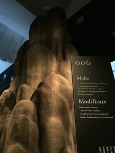 IMG_9341