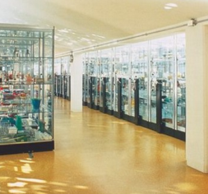 Screen Shot 2016-06-10 at 11.04.57 PM