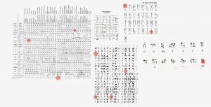 Study of writing + language