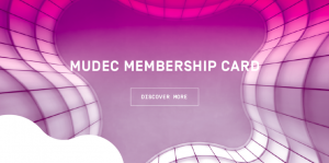 Architeture + Identity