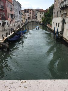 13321856_10156963743110641_9192486903472204270_n