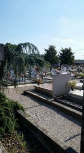 13521835_1721436944776104_7196662946006687086_n