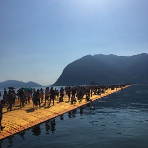 IMG_5920