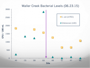 These are the values of bacteria (E.coli and enterococci) at each of the sites sampled by the high school students. The purple line represents the point at which the bacterial levels dropped.